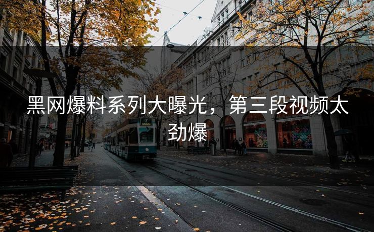 黑网爆料系列大曝光，第三段视频太劲爆
