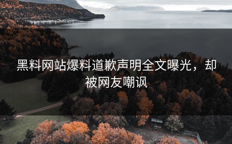 黑料网站爆料道歉声明全文曝光，却被网友嘲讽