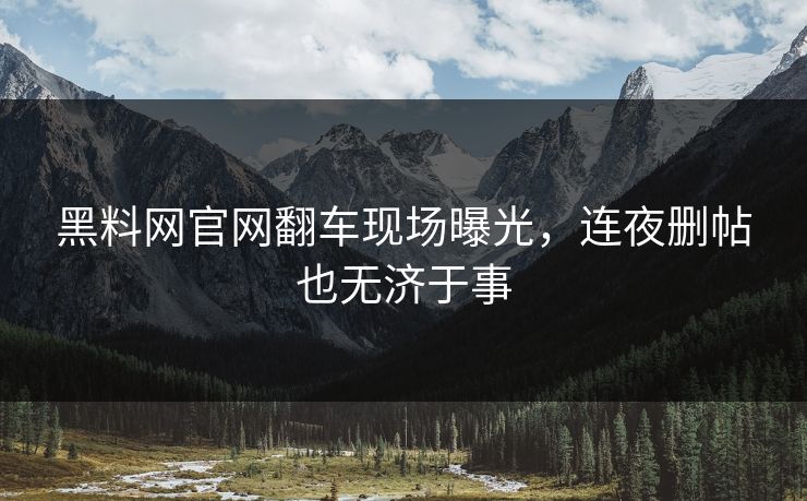 黑料网官网翻车现场曝光，连夜删帖也无济于事