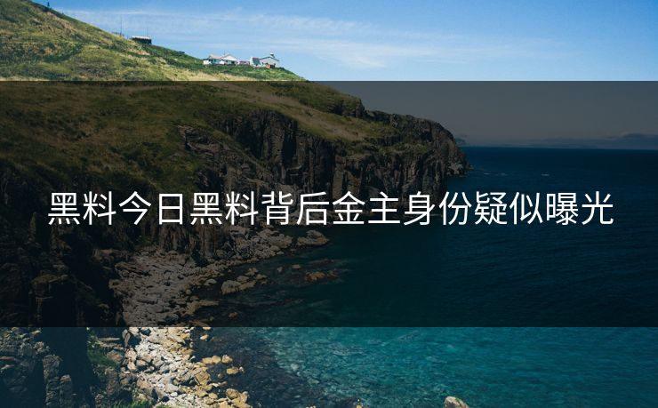 黑料今日黑料背后金主身份疑似曝光