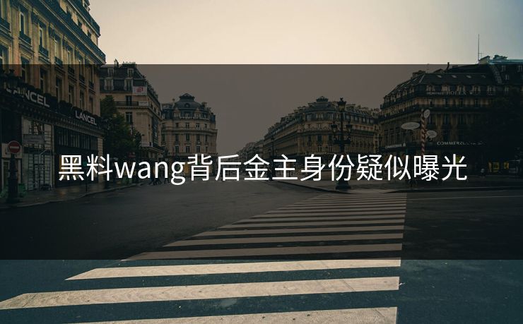 黑料wang背后金主身份疑似曝光
