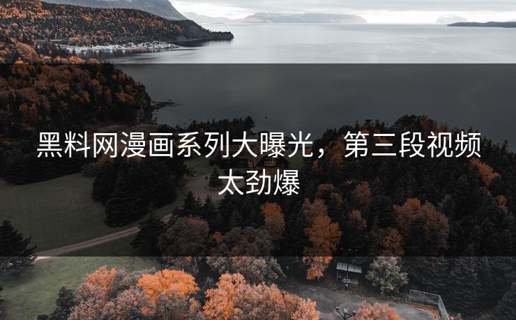 黑料网漫画系列大曝光，第三段视频太劲爆