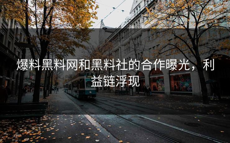 爆料黑料网和黑料社的合作曝光，利益链浮现