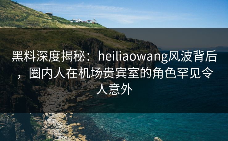 黑料深度揭秘：heiliaowang风波背后，圈内人在机场贵宾室的角色罕见令人意外
