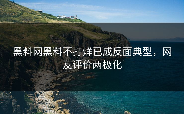 黑料网黑料不打烊已成反面典型，网友评价两极化