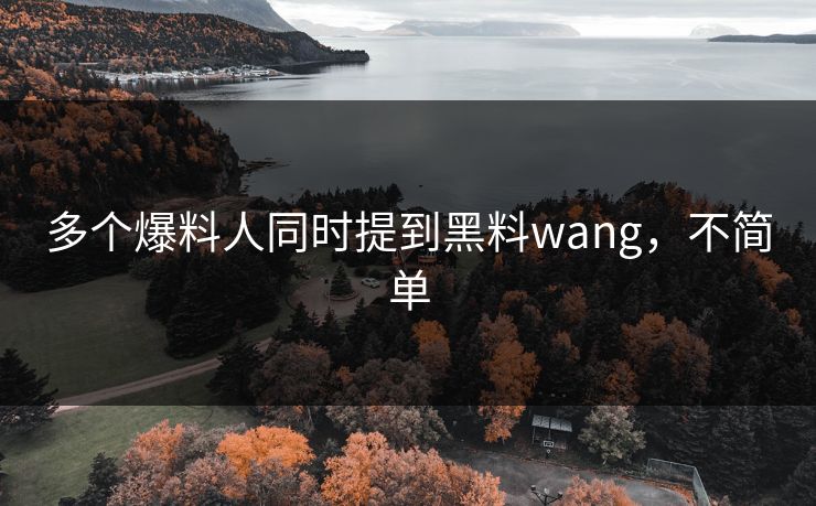 多个爆料人同时提到黑料wang，不简单