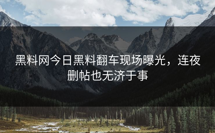 黑料网今日黑料翻车现场曝光，连夜删帖也无济于事
