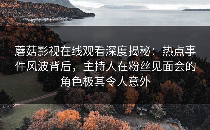 蘑菇影视在线观看深度揭秘：热点事件风波背后，主持人在粉丝见面会的角色极其令人意外