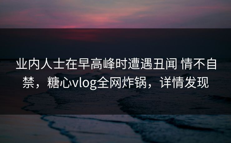 业内人士在早高峰时遭遇丑闻 情不自禁，糖心vlog全网炸锅，详情发现