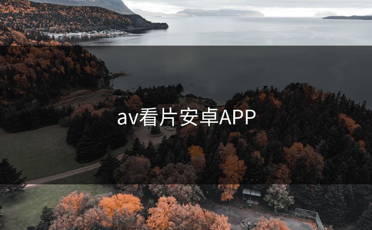av看片安卓APP
